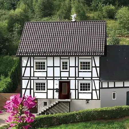 Spacious Holiday In With Terrace Winterberg