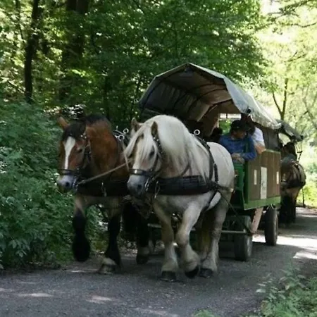 Spacious Holiday In With Terrace בית נופש *