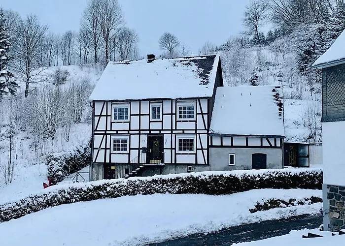 Haus Ruhrquelle With Terrace&garage Near Ferienhaus