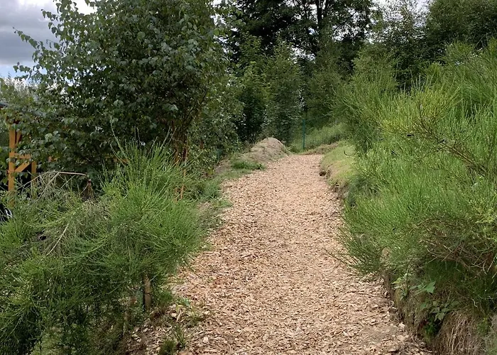 Haus Ruhrquelle With Terrace&garage Near Winterberg