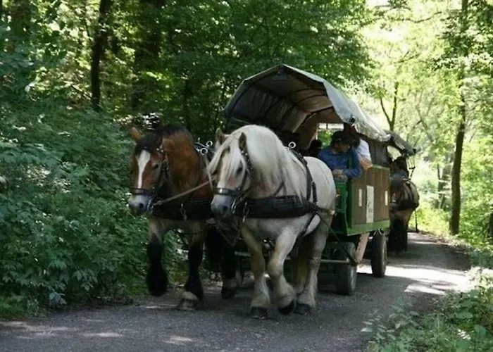 Spacious Holiday In With Terrace Feriehus *